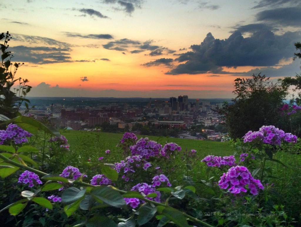 Callahan calls this photograph "Birmingham Through the Flowers"